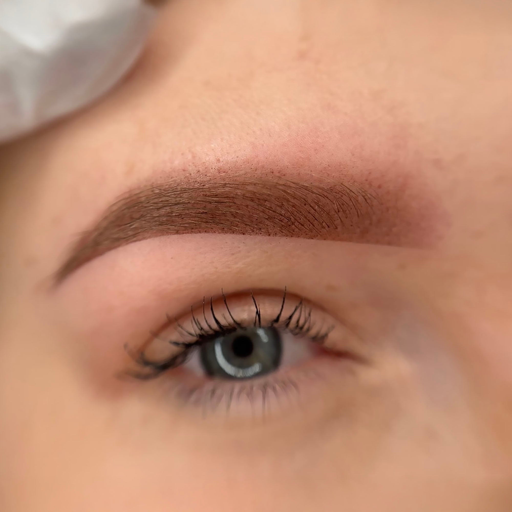 Powder brows recién hechas tras la micropigmentación, con sombreado suave, implantación uniforme del pigmento y degradado natural