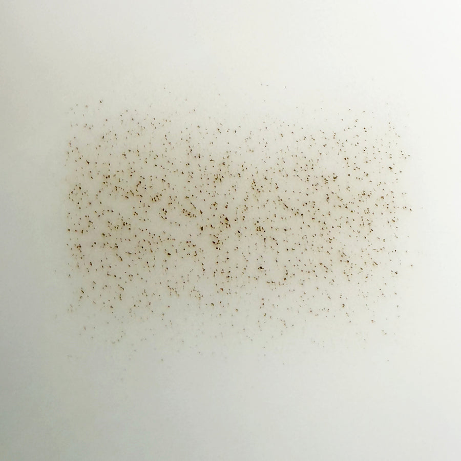 LABBRA